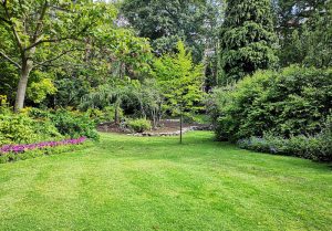 Optimiser l'expérience du jardin à Saint-Martin-sur-Oust