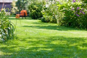 travaux jardin et paysage Saint-Martin-sur-Oust